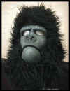 APE MASK.jpg (15135 bytes)