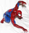 spidey1.jpg (84908 bytes)